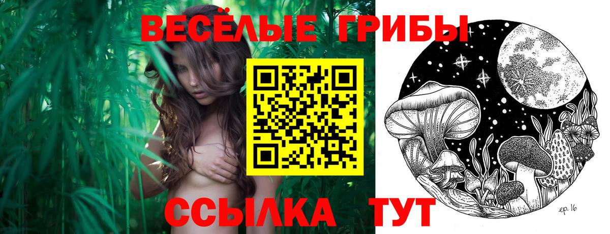 Псилоцибиновые грибы Psilocybe  Псилоцибиновые грибы Psilocybe  где можно купить   Вход с VPN  Семилуки 
